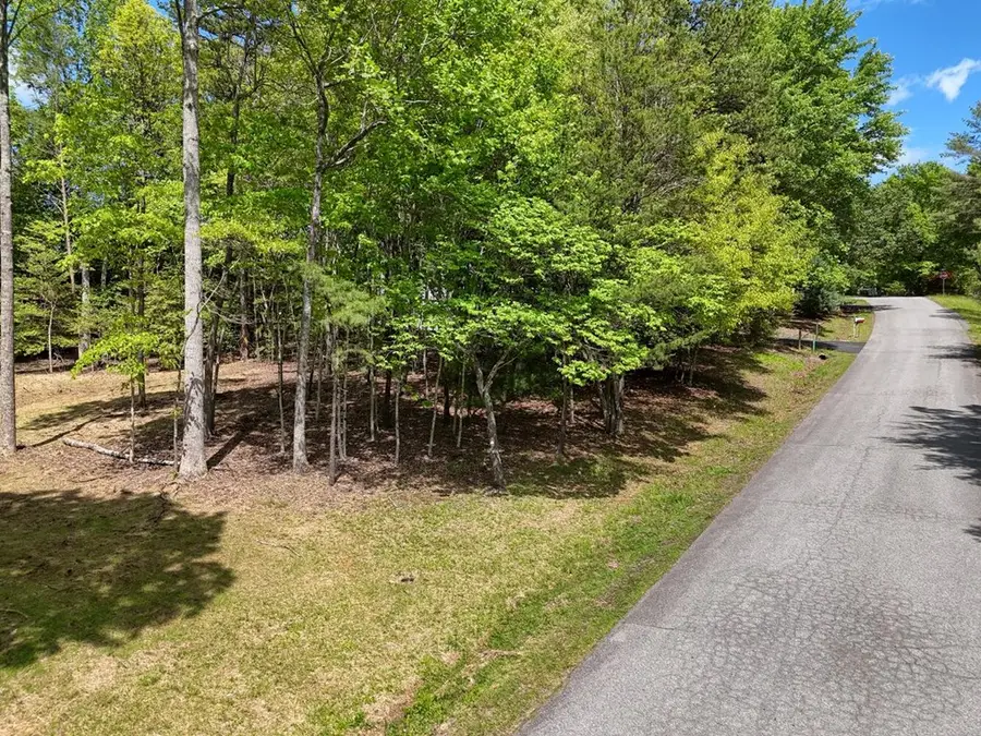 0 The Landing, Blairsville, GA 30512 - Image #2