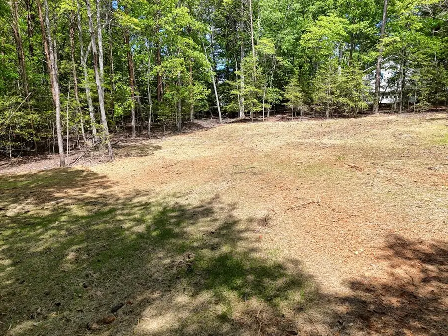 0 The Landing, Blairsville, GA 30512 - Image #3