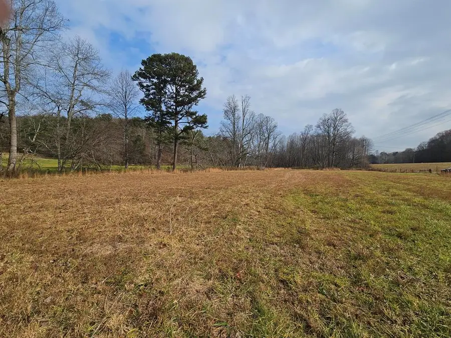 14747 Appalachian Hwy, Morganton, GA 30560 - Image #3