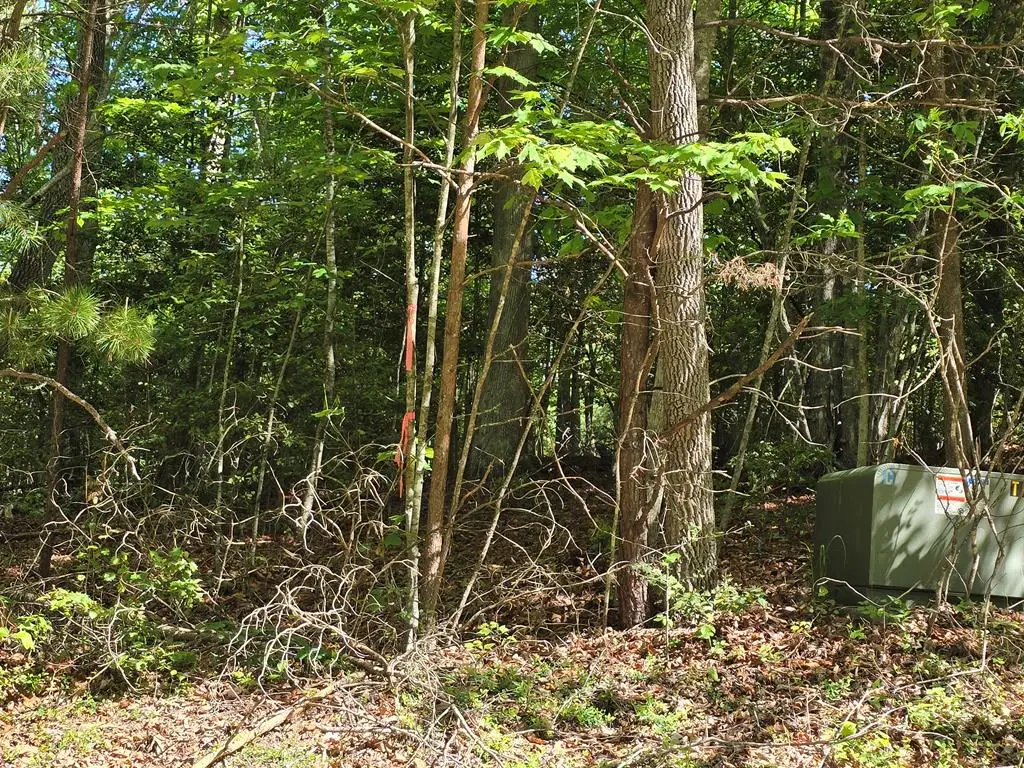 Tract 4A Garland Lane, Young Harris, GA 30582 - #1