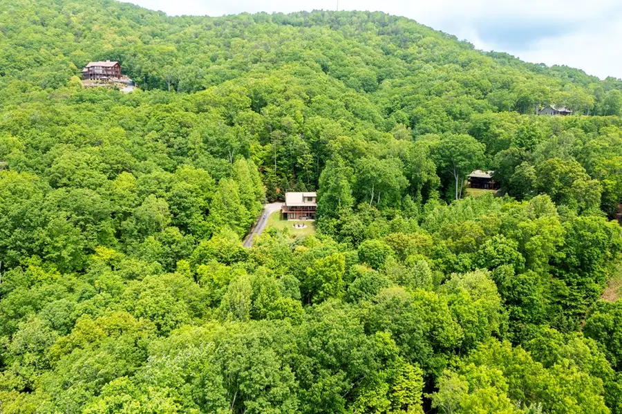 317 Arrowhead Drive, Blue Ridge, GA 30513 - #3