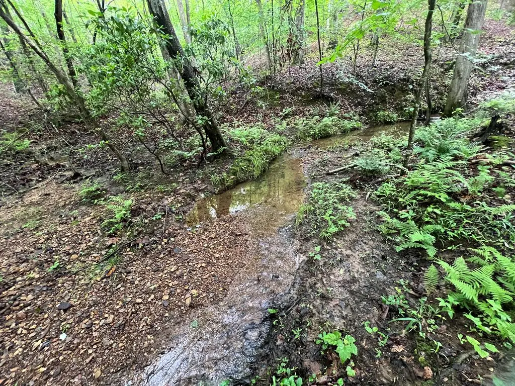 395 Able Road, Waleska, GA 30183 - Image #1