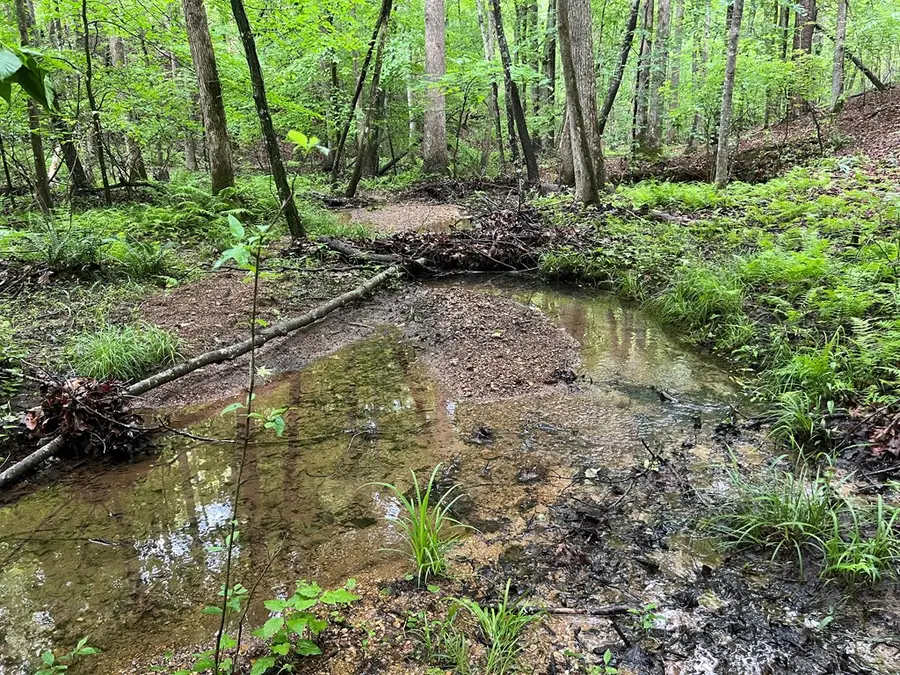 395 Able Road, Waleska, GA 30183 - Image #2