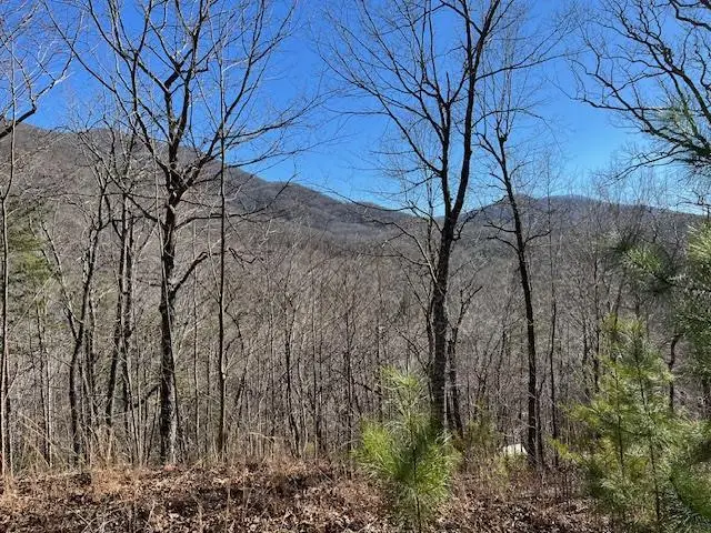 Lot 10 Mountain Valley View, Hiawassee, GA 30546 - Image #1