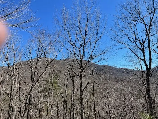 Lot 10 Mountain Valley View, Hiawassee, GA 30546 - Image #2