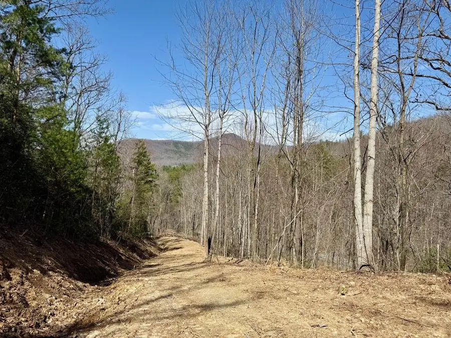 Lot 3 Wild Laurel, Brasstown, NC 28902 - Image #2