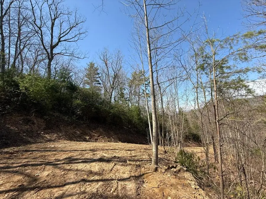Lot 3 Wild Laurel, Brasstown, NC 28902 - Image #3