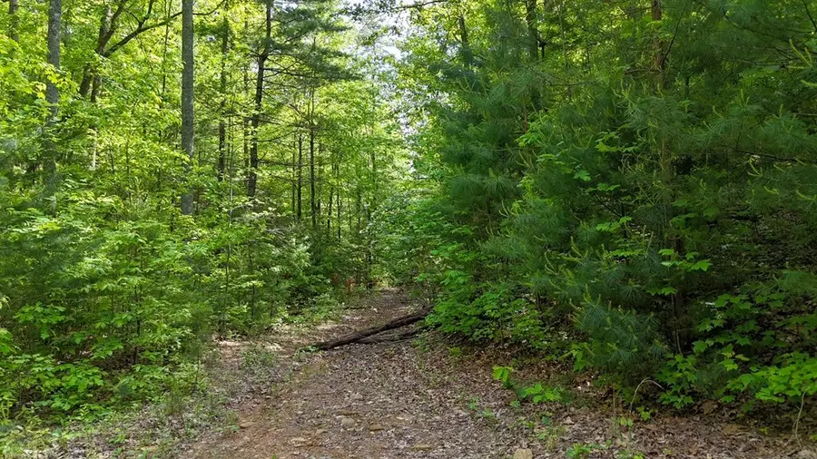 00 Hialeah Way, Murphy, NC 28906 - Image #2