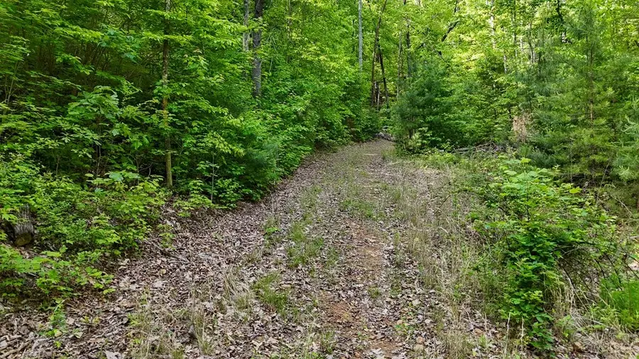 00 Hialeah Way, Murphy, NC 28906 - Image #3