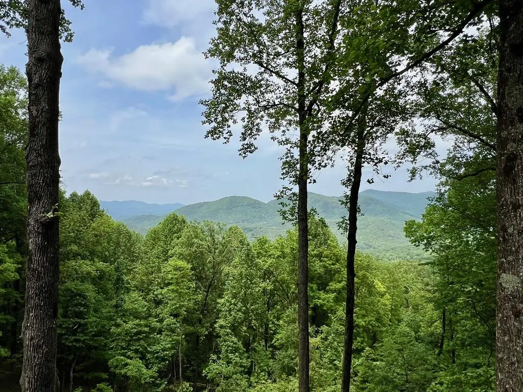 M163 Walnut Ridge, Rich Mountain, GA 30336 - Image #1