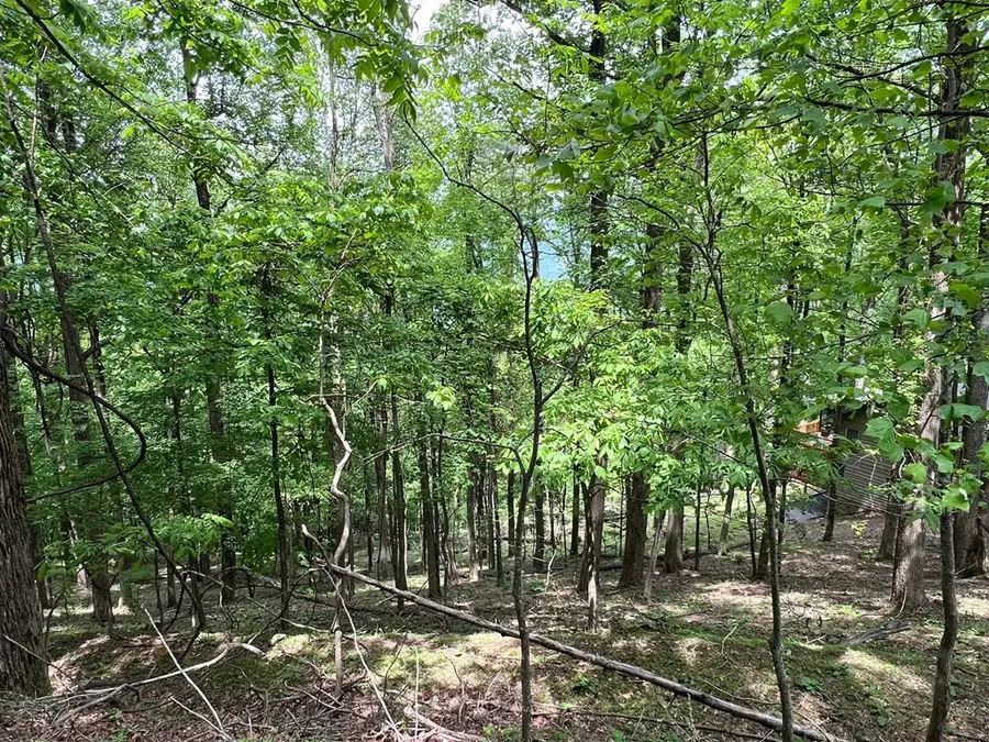 M163 Walnut Ridge, Rich Mountain, GA 30336 - Image #2