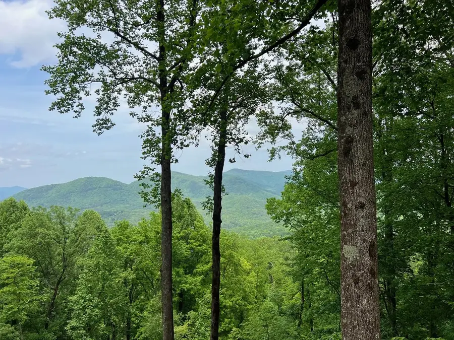 M163 Walnut Ridge, Rich Mountain, GA 30336 - Image #3