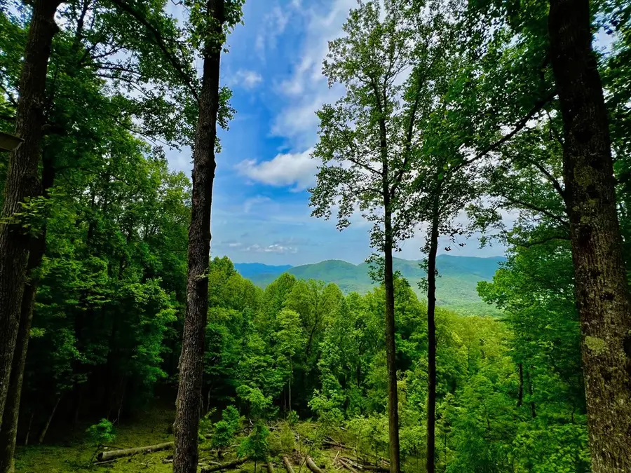 M164 Walnut Ridge, Rich Mountain, GA 30336 - Image #2