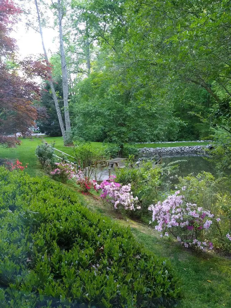 5329 Pine Crest Road, Young Harris, GA 30582 - Image #2