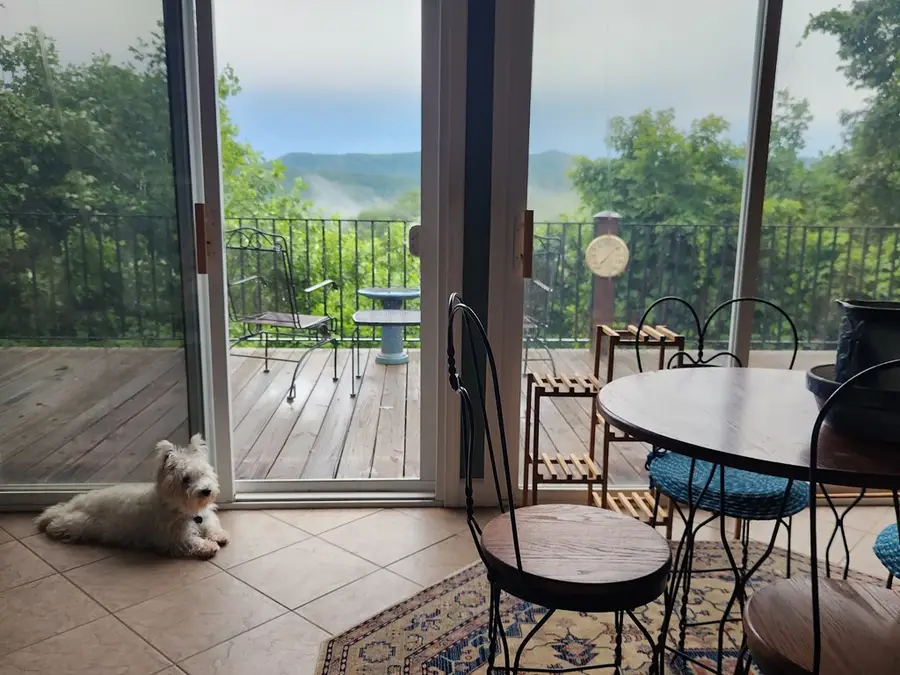 1207 Bullen Gap Road, Blue Ridge, GA 30513 - #3