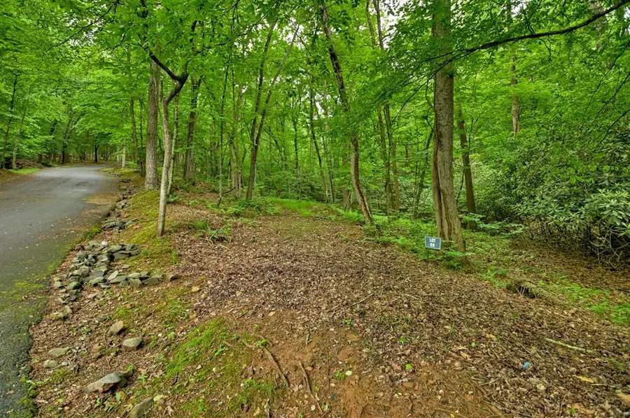 Lot 68 Riverwalk On The Toc, Mineral Bluff, GA 30559 - Image #2