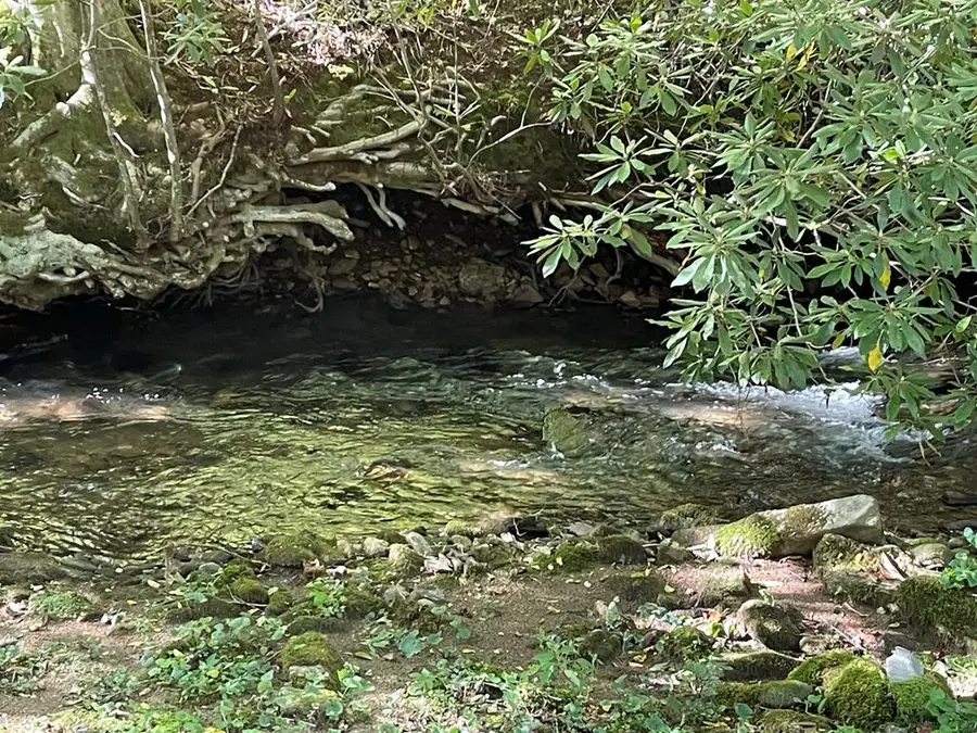 5 Tusquittee Crossing, Hayesville, NC 28904 - Image #3