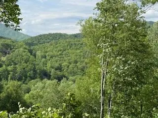43 Tusquittee Crossing, Hayesville, NC 28904 - Image #2