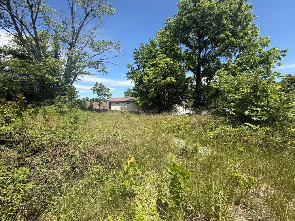 Lt 19&20 E Second Street, Blue Ridge, GA 30513 - #1