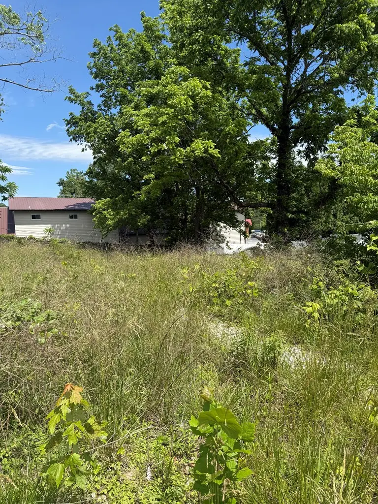 Lt 19&20 E Second Street, Blue Ridge, GA 30513 - #2