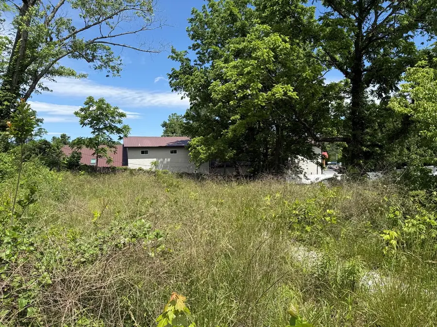 Lt 19&20 E Second Street, Blue Ridge, GA 30513 - #3