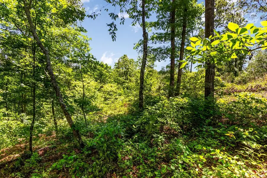 LT160 Shallow Water Trail, Talking Rock, GA 30175 - #2