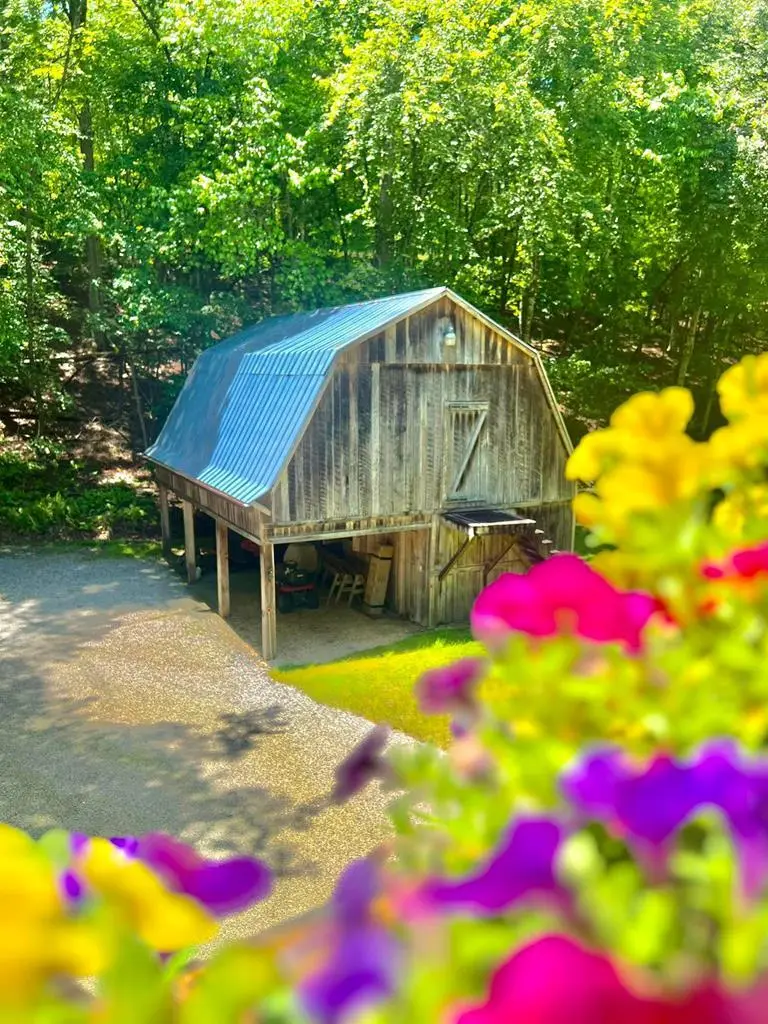 515 Toccoa River Forest, Mineral Bluff, GA 30559 - Image #3