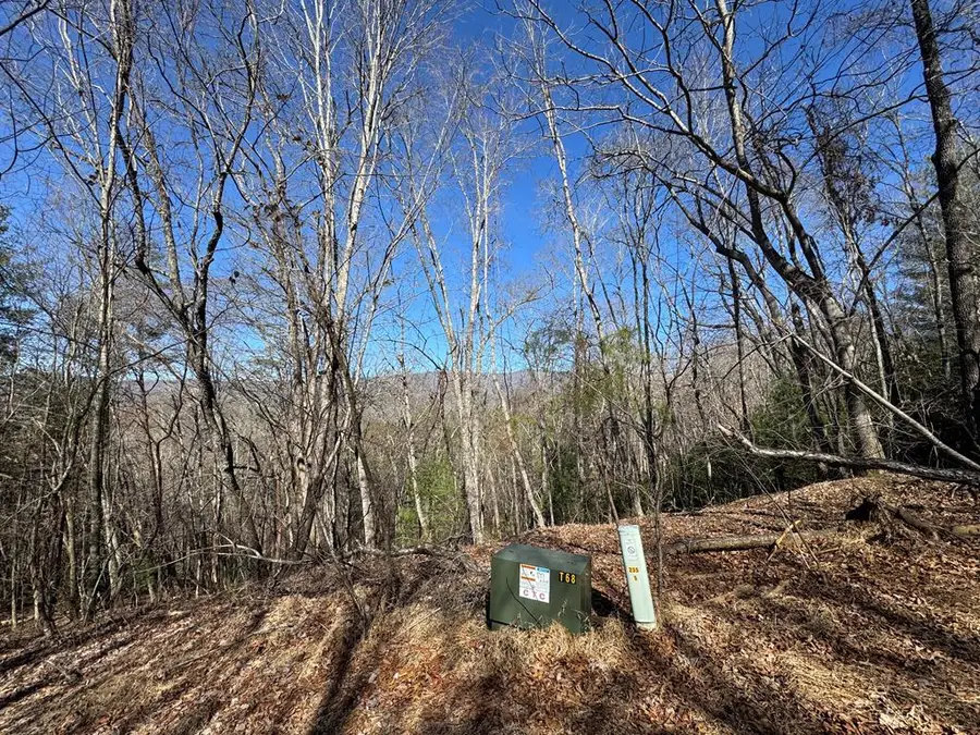 Trac I 2 Crockett Mountain Lane, Hayesville, NC 28904 - Image #3