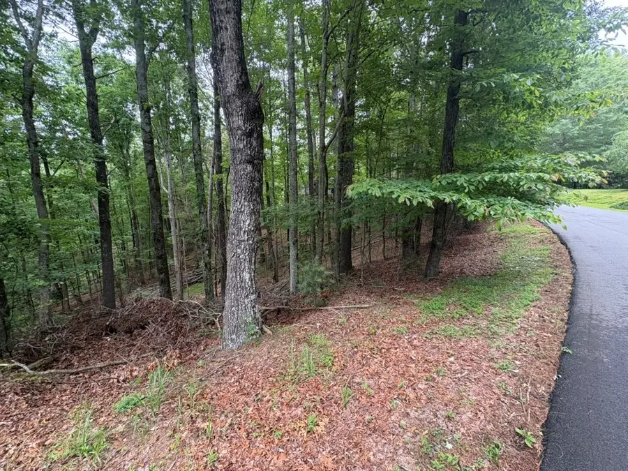 LOT 153 Etowah Drive, Ellijay, GA 30540 - Image #3