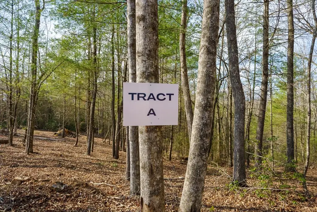 TR A E New Hope Road E, Ellijay, GA 30536 - #1