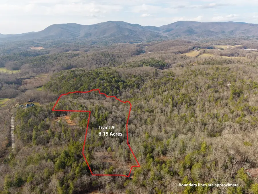 TR A E New Hope Road E, Ellijay, GA 30536 - #2