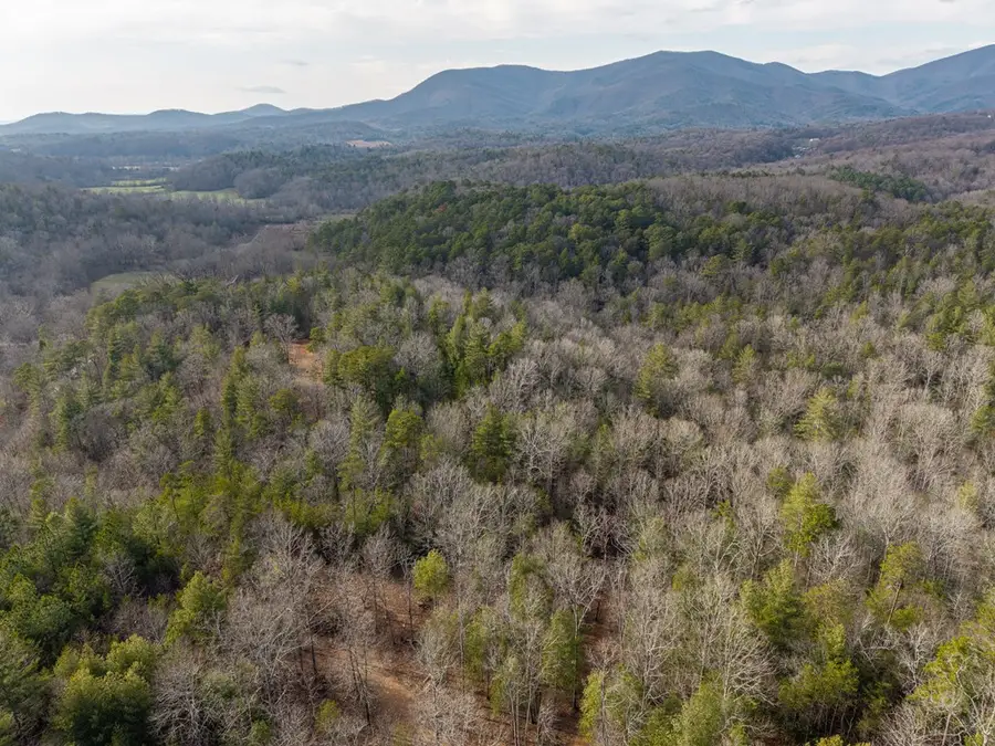 TR A E New Hope Road E, Ellijay, GA 30536 - #3