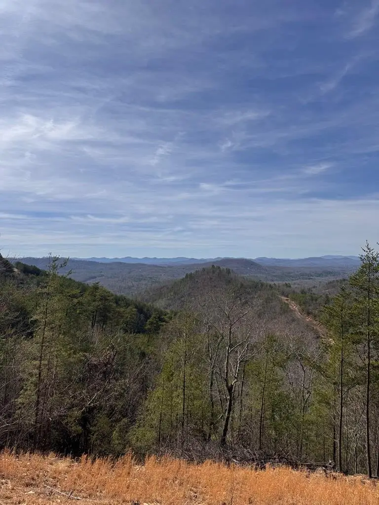 Lt 35 Crested Eagle Lane, Murphy, NC 28906 - Image #2