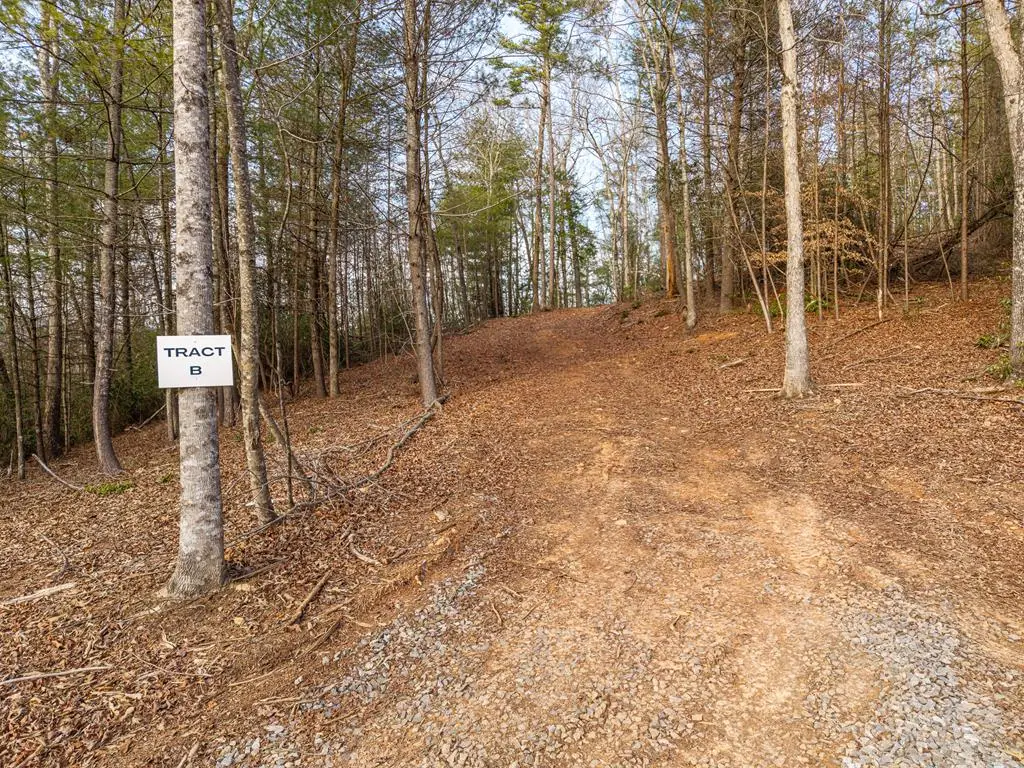 TR B E New Hope Road E, Ellijay, GA 30536 - #1