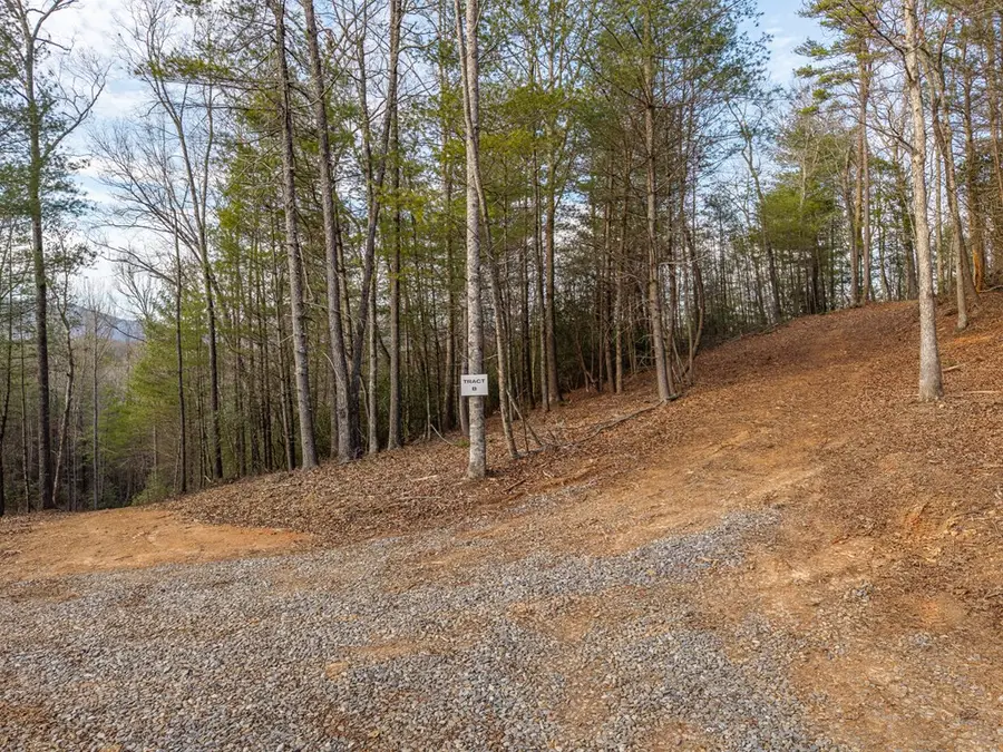 TR B E New Hope Road E, Ellijay, GA 30536 - #2