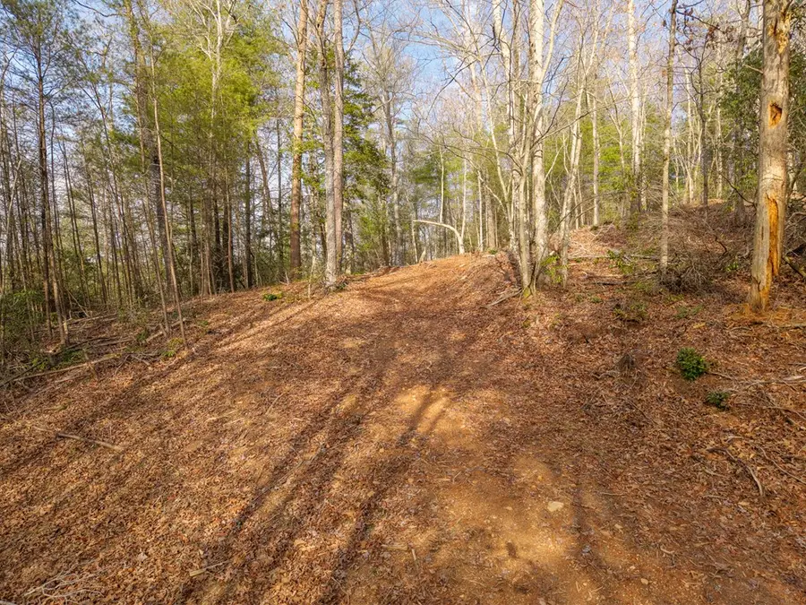 TR B E New Hope Road E, Ellijay, GA 30536 - #3
