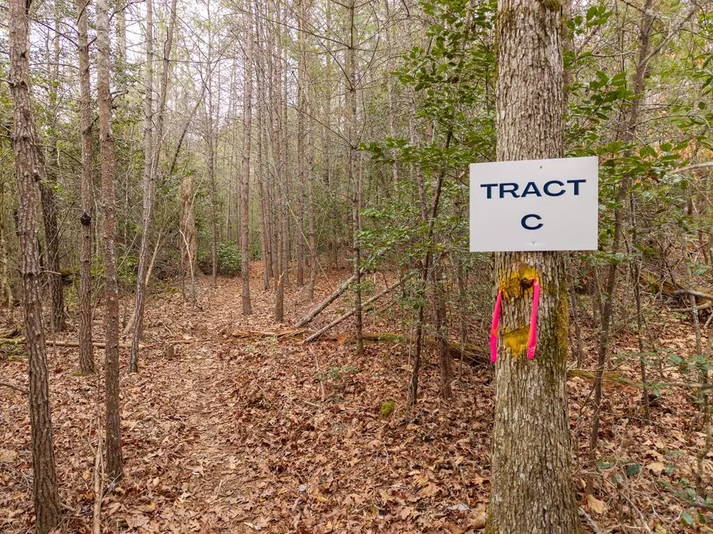 TR C E New Hope Road E, Ellijay, GA 30536 - #1