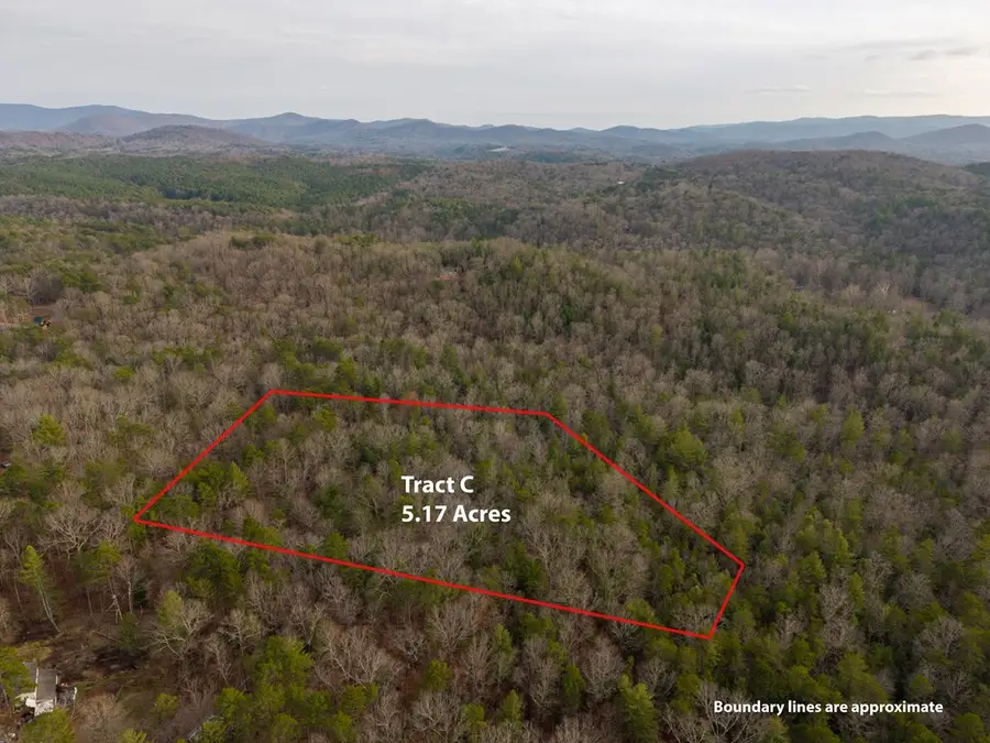 TR C E New Hope Road E, Ellijay, GA 30536 - #2