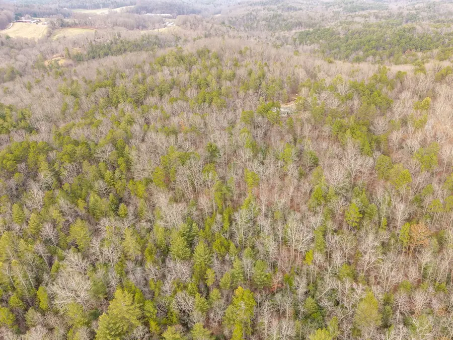 TR C E New Hope Road E, Ellijay, GA 30536 - #3