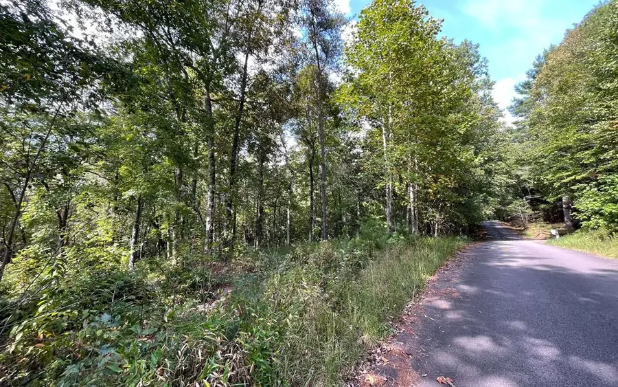 Lot E Timber Ridge, Hayesville, NC 28904 - Image #2