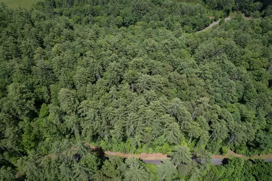 Lot 11 Bear Cove At Fires C, Hayesville, NC 28904 - Image #3