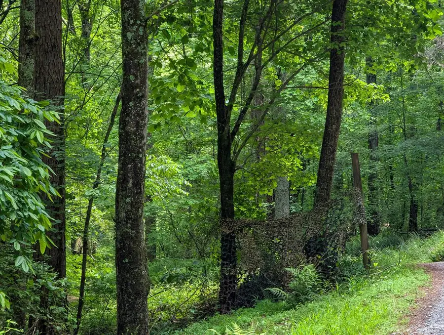 00 Wildwood Trail, Ellijay, GA 30540 - #3