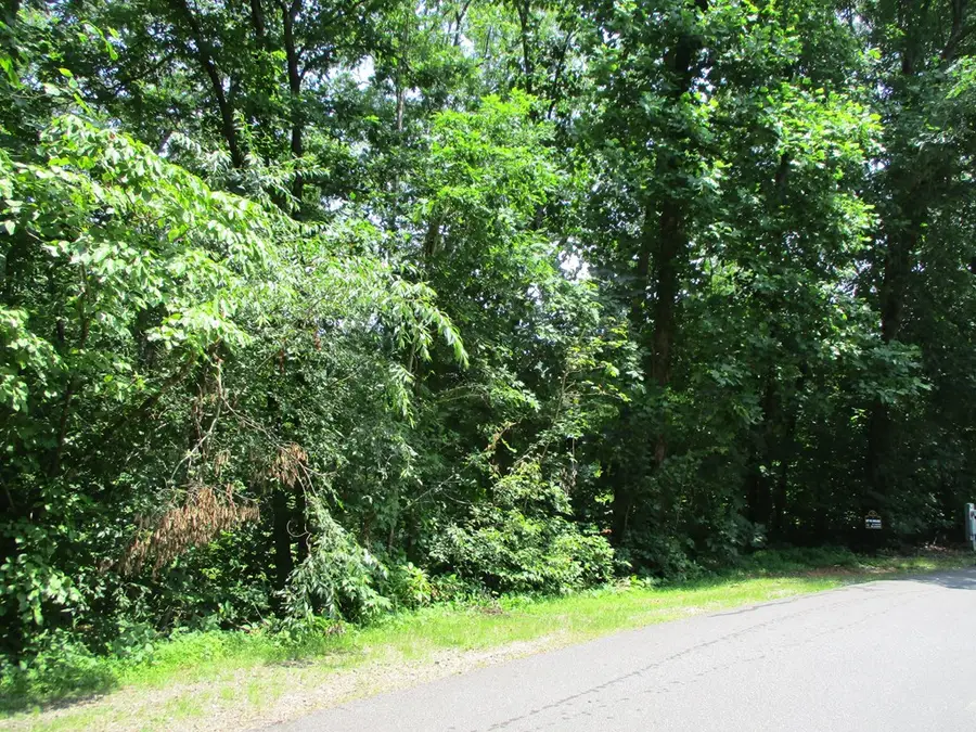 74A Licklog Ridge, Hayesville, NC 28904 - Image #3