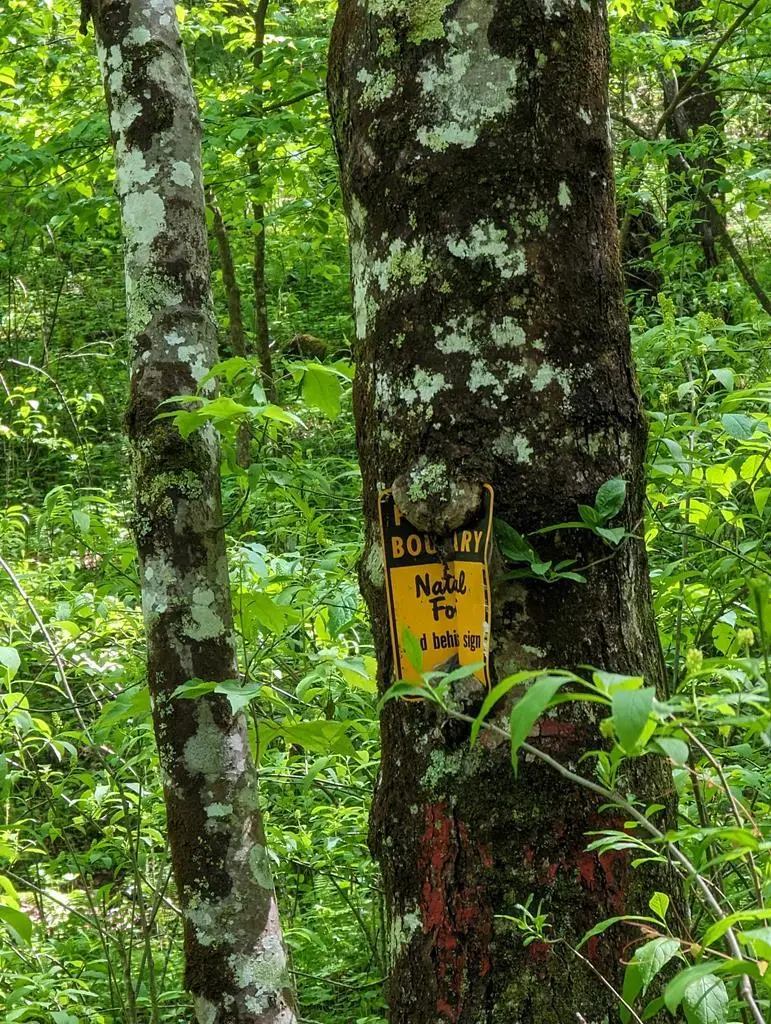 00 Buck Creek Trail, Epworth, GA 30541 - Image #1