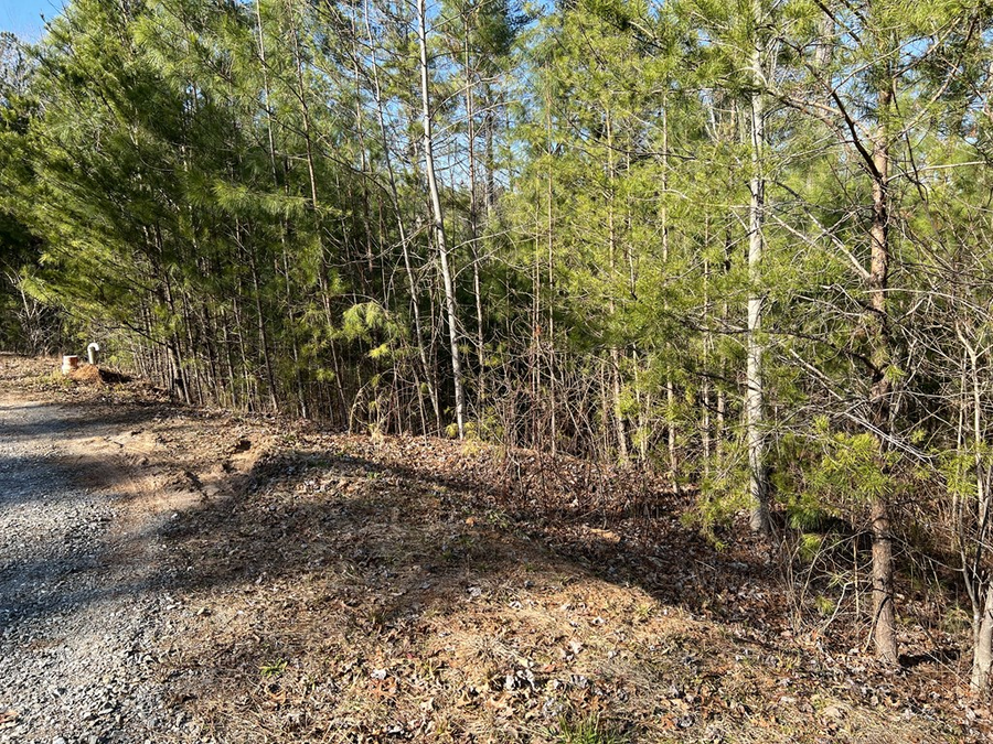 Lot 1855 Hunter Drive, Talking Rock, GA 30175 - Image #2