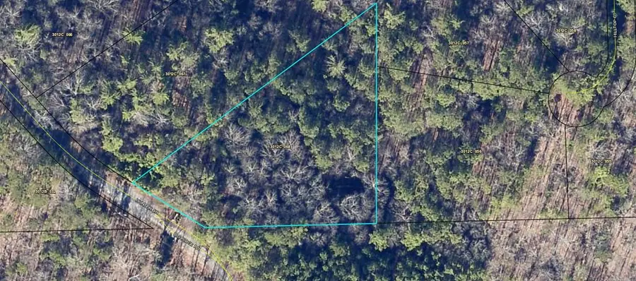 Lot 1855 Hunter Drive, Talking Rock, GA 30175 - Image #3