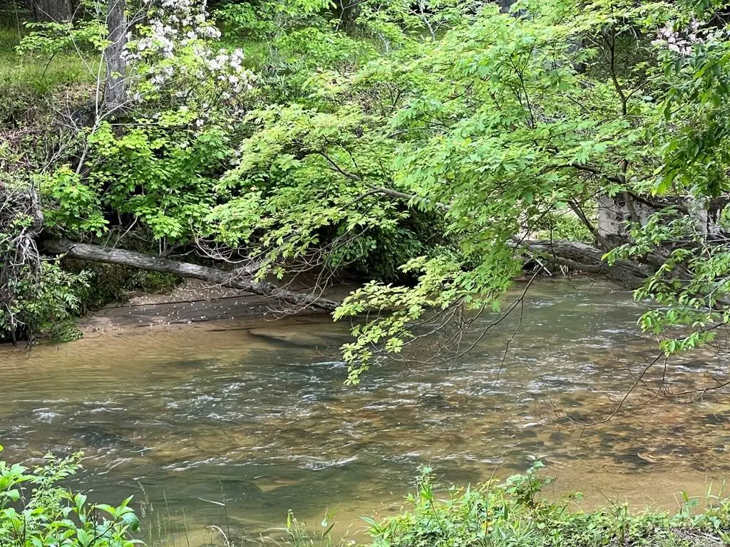 Lot 52 Madeline Way, Blairsville, GA 30512 - #1