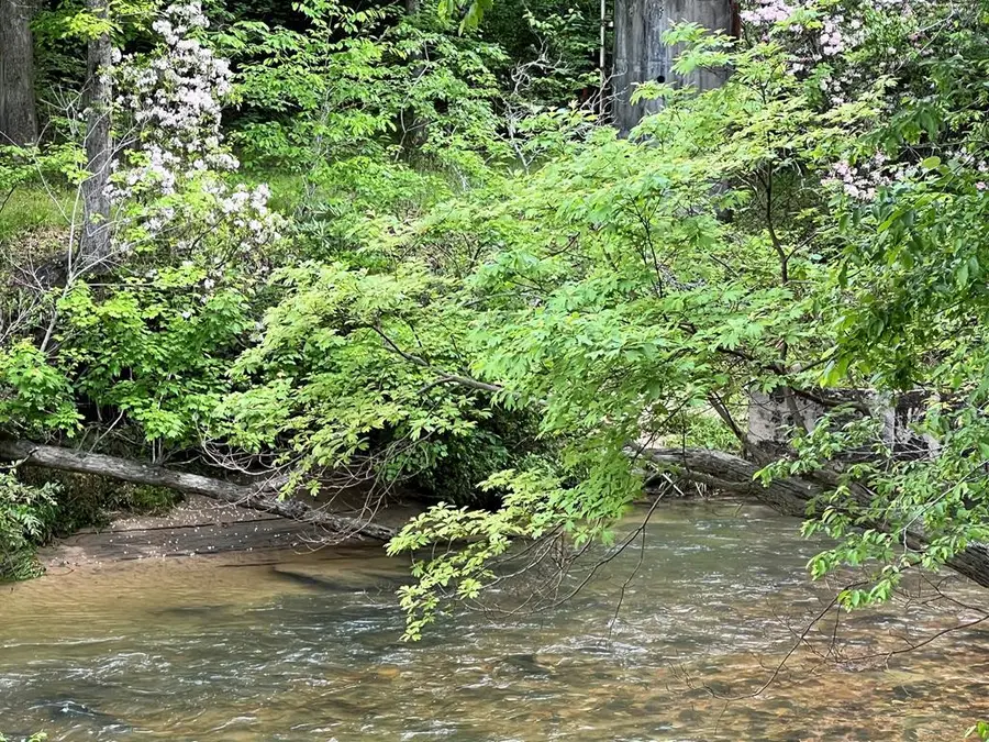 Lot 52 Madeline Way, Blairsville, GA 30512 - #2