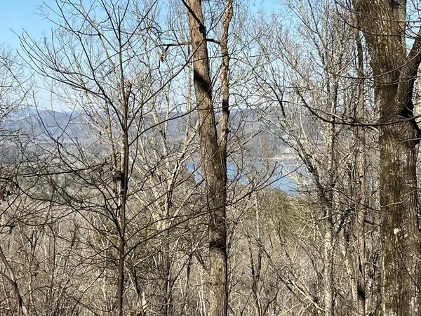 Lot 326 Adair Drive, Ranger, GA 30734