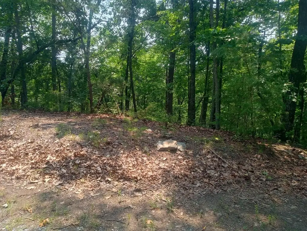 Lt 1227 Hilton Drive, Ranger, GA 30734 - #1